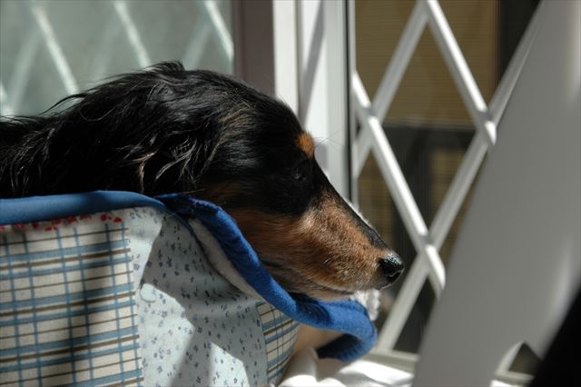 ゆっくりお休み・・