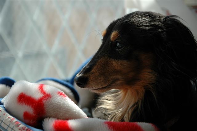 ルパンとここにいるのが好きだった。もうすぐ取り戻せるよ。