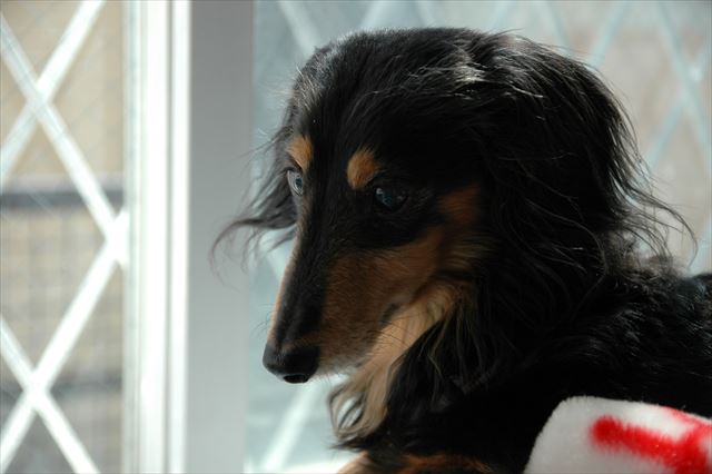 守ったよ。ルパンの大事な場所、守ったよ。