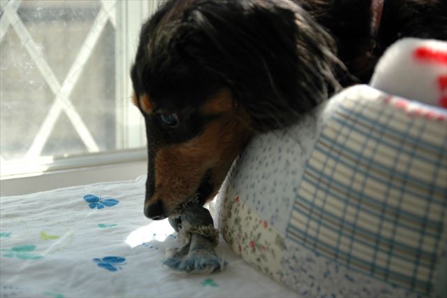 これで遊ぶ？　中におやつ入ってるよ。