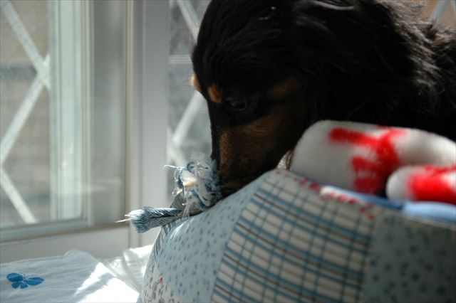 起きた？遊ぶ？おやつ、入ってるよ。