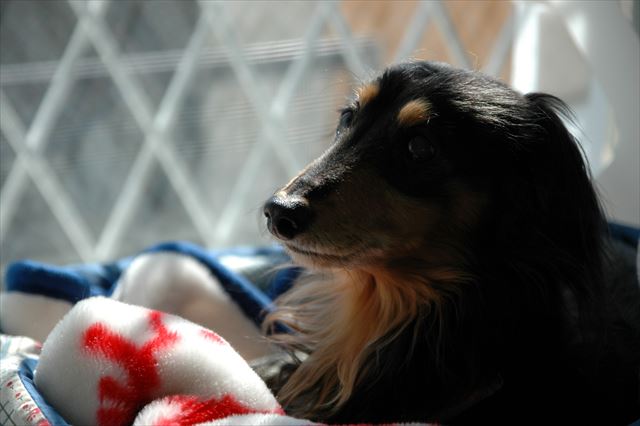 かわいいな・・どんな表情もかわいいな・・