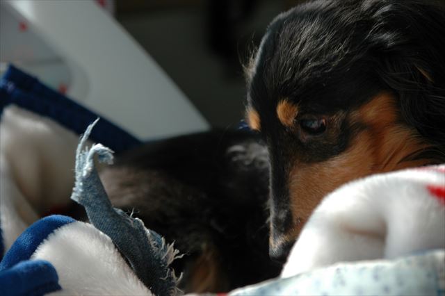 ルパン大好き。今でも大好き。