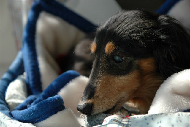 ルパン、大好きだよ・・