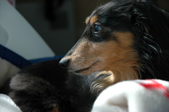 こんなかわいい子と家族になれて本当に幸せだよ。