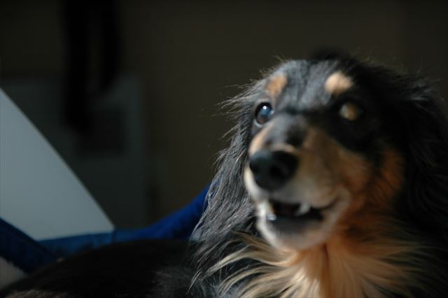 ルパン、大好きだよ。今でも大好きだよ。