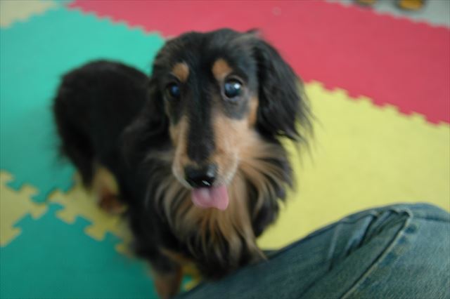 うんうん、美味しい美味しい・・