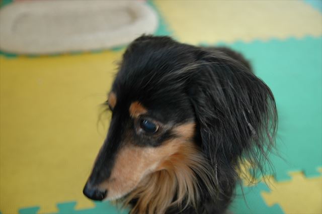 かわいいな・・かわいいな・・