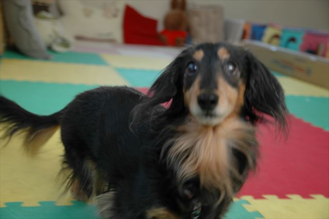 ルパン、大好きだよ。今でも一緒だよね。