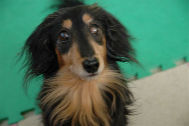 なーに？何か訴えてるね・・