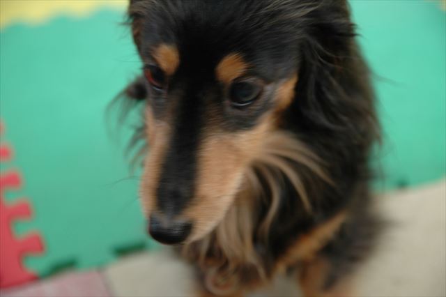 左手あげて。ちょうだい♪だよね。