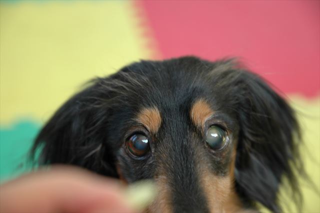 見えてなくても見てるだよね。心の目で見てるんだよね。