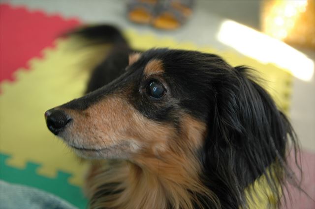 ルパン、大好きだよ。