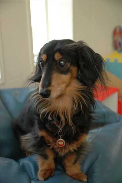 ルパン、大好きだよ。