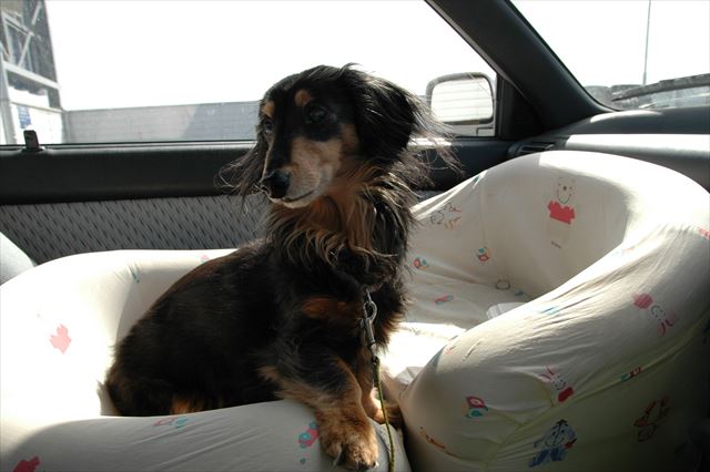 お買い物。ここでふたりで待ってようね。