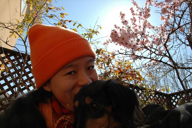 今年もアーモンドの花が咲いたよ、ルパン。