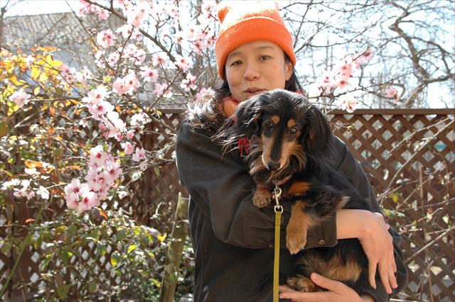 アーモンドの花、咲いたよ、ルパン。