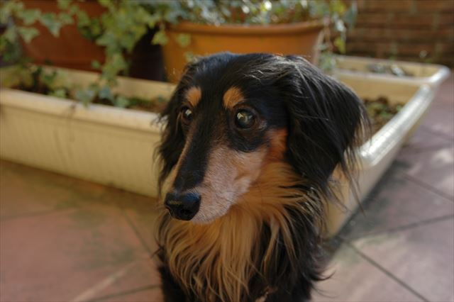 なーに？何か訴えてるね・・