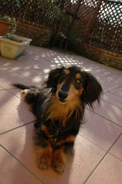 ペタンとすわって笑ってる♪