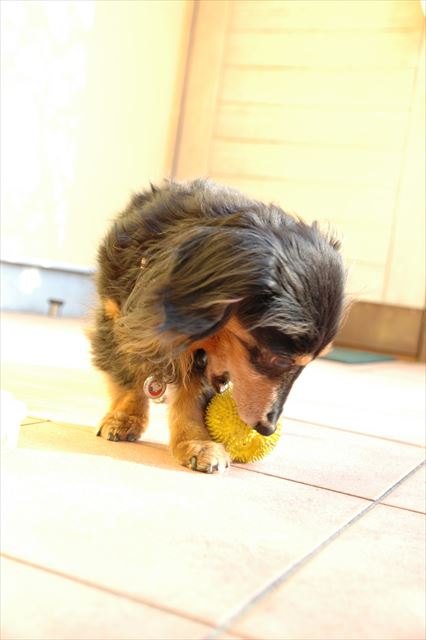 おっ上手上手。ここまで持ってきて♪