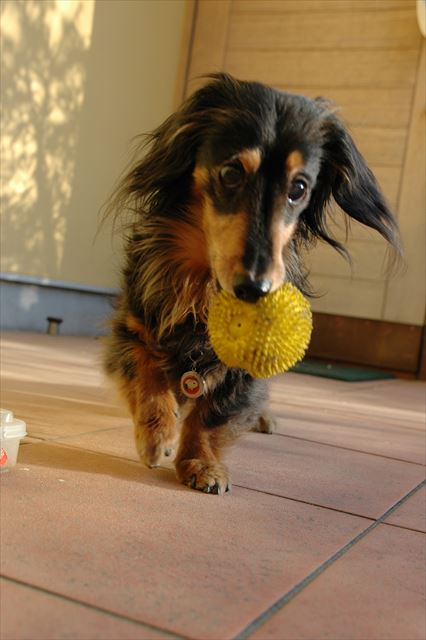 上手上手。がんばれがんばれ！