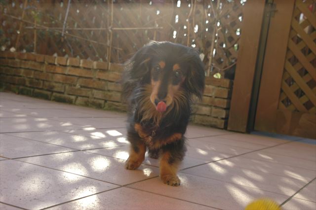 上手に取ってこれるかな？