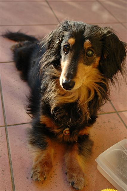 ご機嫌だね。私も幸せだよ、ルパン。