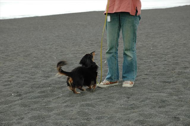 「ごほうびちょうだい！」「ちょっと待って。今、準備してるから・・」