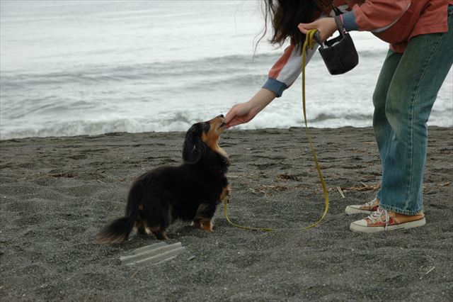楽しいよ。ルパンと一緒だと楽しいよ。