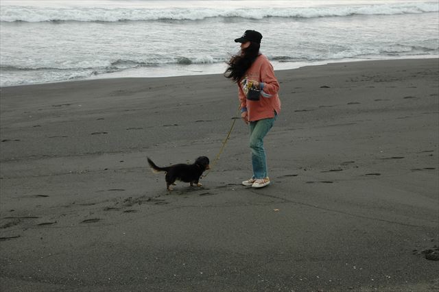 ルパン、今でも湘南の海、大好きだよ。