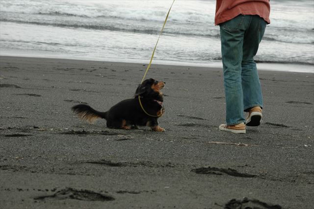 走ったね。ルパンと一緒によく走ったよね。