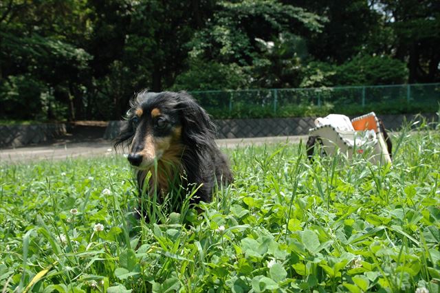 楽しかった。この日のこと、一生忘れないよ。