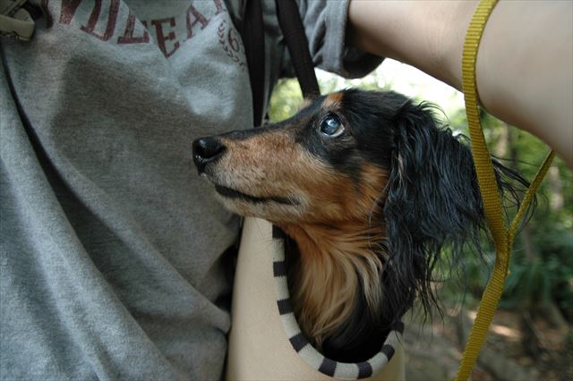 うん、いるよ。大丈夫。私、ここにいるよ。