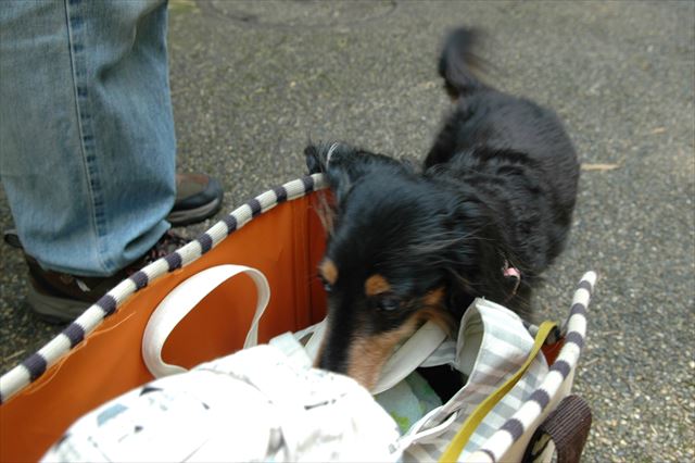 そこ、美味しいもの入ってるね。よく見つけるねルパンは。