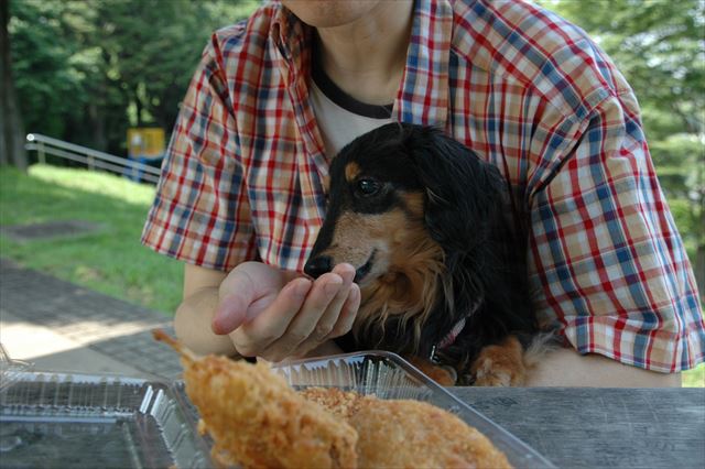 ３人で過ごすこんな時間が大好きだった・・