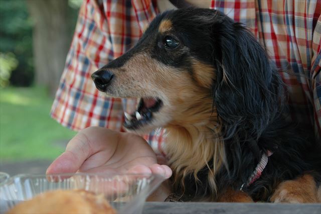これからも３人ずっと一緒に。ね。