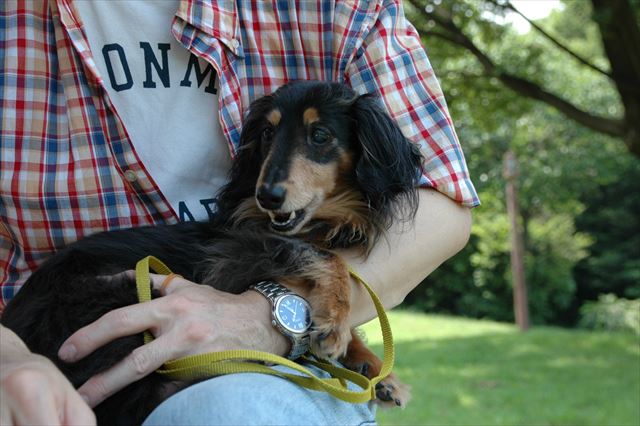 papaのひざの上、安心しきってる・・