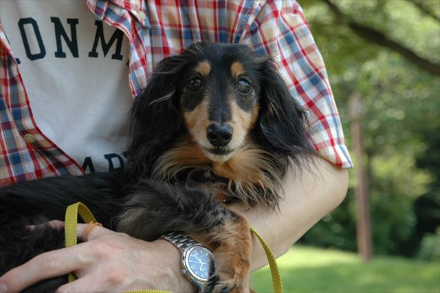 papaのだっこ。大好きだったよね。