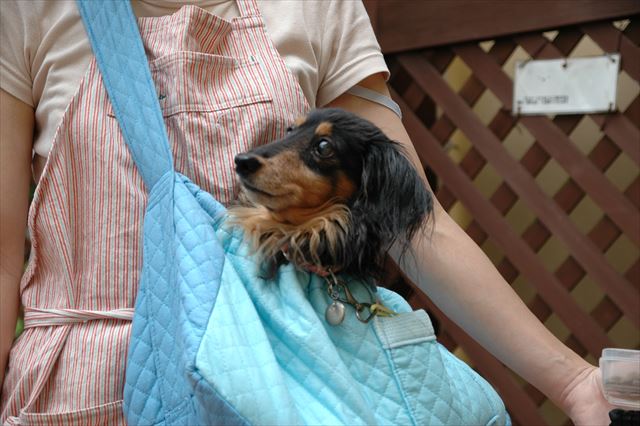 おばあちゃんに作ってもらったね。みんなルパンに優しかった・・