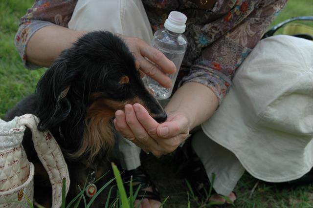 おばあちゃんにも、たくさんたくさん・・かわいがってもらったね。
