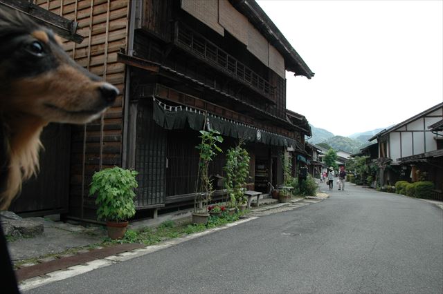 夏休みはずっと一緒。それが楽しかった。幸せだった。ルパンはどうだった？