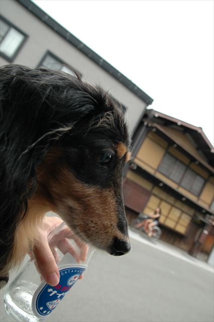 いつでも一緒。ルパンと一緒。