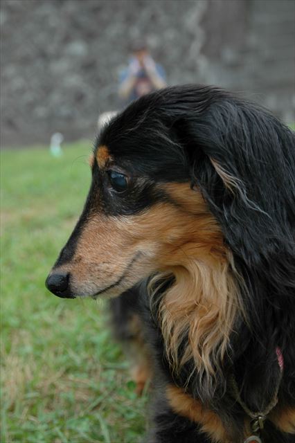 楽しいね。夏休みはずっと一緒にいられて楽しいね。