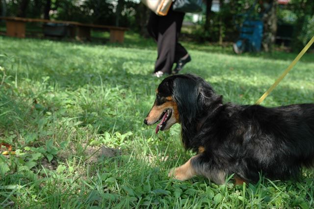 ルパンの好きな場所に来たよ。ルパンのお誕生日だからね。