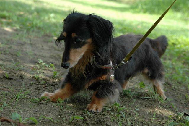 今日は暑いなぁ。お腹冷やしたいなぁ。