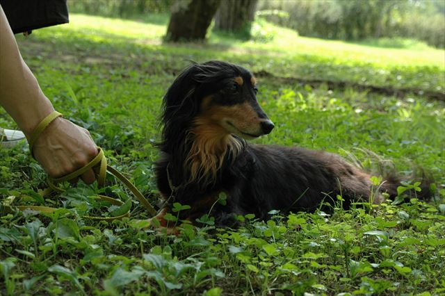 ルパン、これからもずっと一緒だよね。