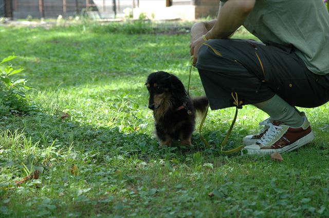 papaのこと大好きだったね。
