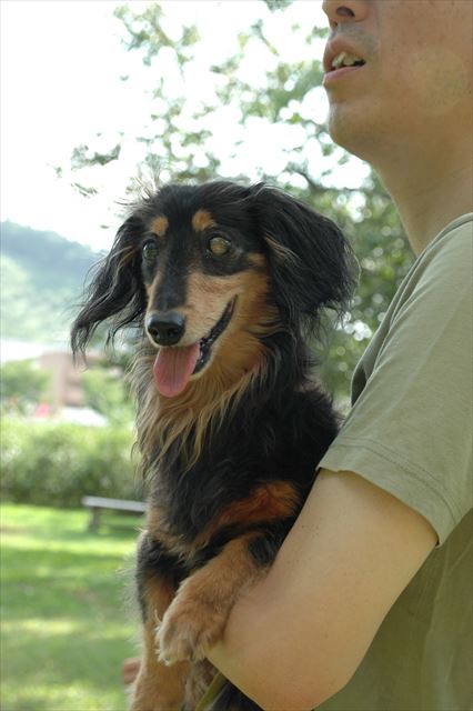 このおててがかわいい♪ルパンの全部が好き。