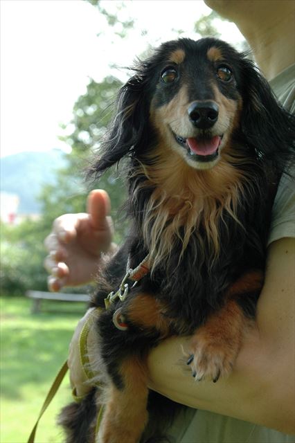 家族一緒の夏休み。楽しい？うん、私も楽しい♪