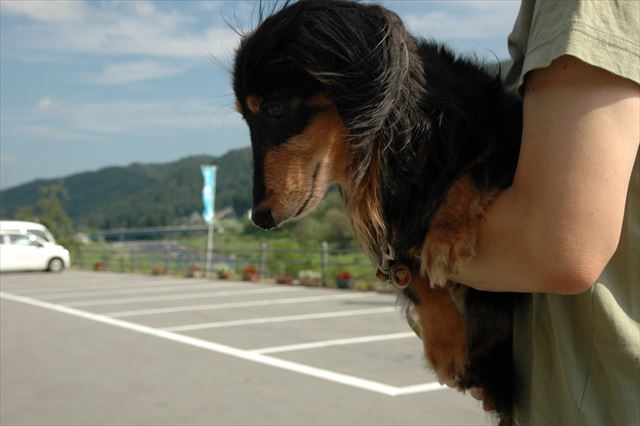 ん？何か気になる？早く下りたい？